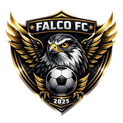 Falco FC