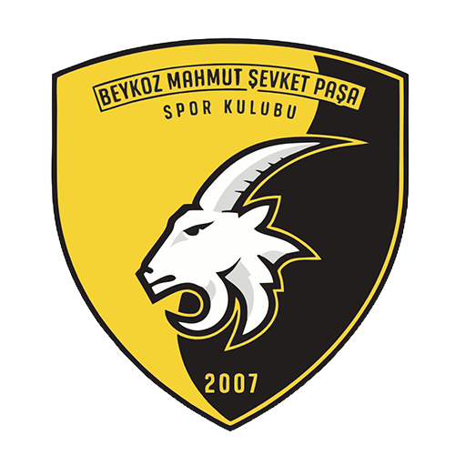 Mahmut Şevket Paşa SK